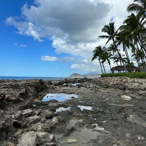 Meet your Posher, Bree